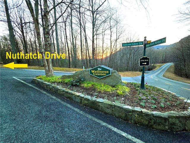 39 Raptor Way Way, Landrum, SC 29356