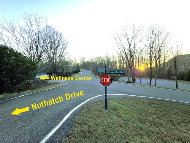 39 Raptor Way Way, Landrum, SC 29356