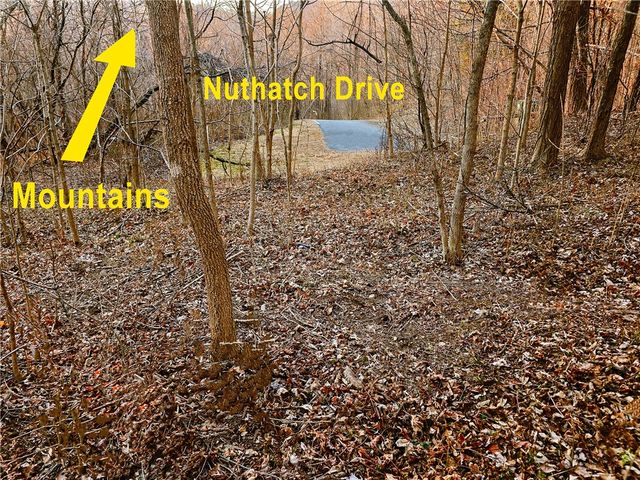39 Raptor Way Way, Landrum, SC 29356