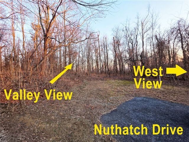 39 Raptor Way Way, Landrum, SC 29356