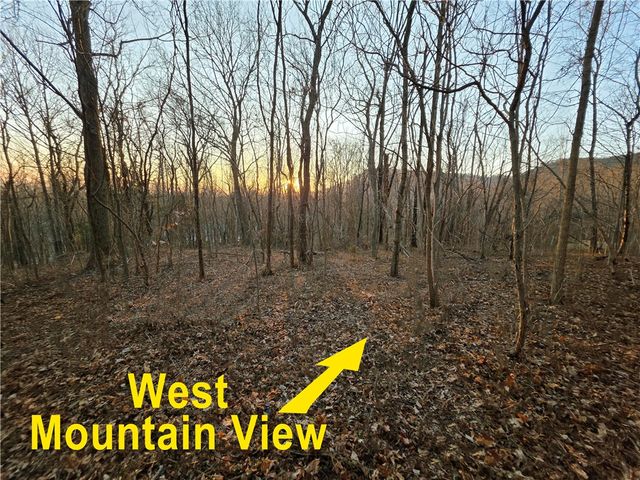 39 Raptor Way Way, Landrum, SC 29356