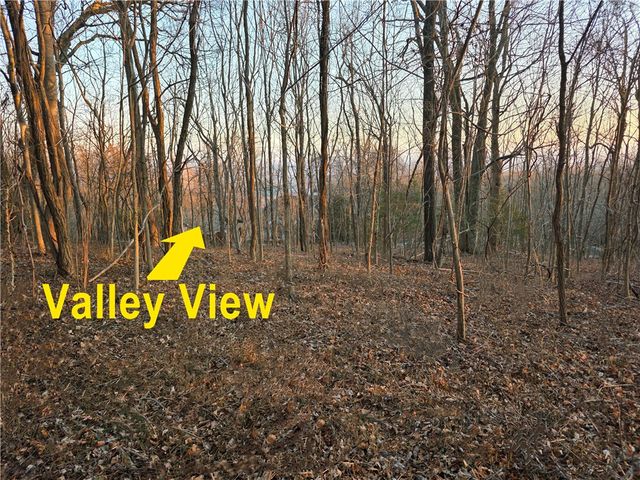 39 Raptor Way Way, Landrum, SC 29356