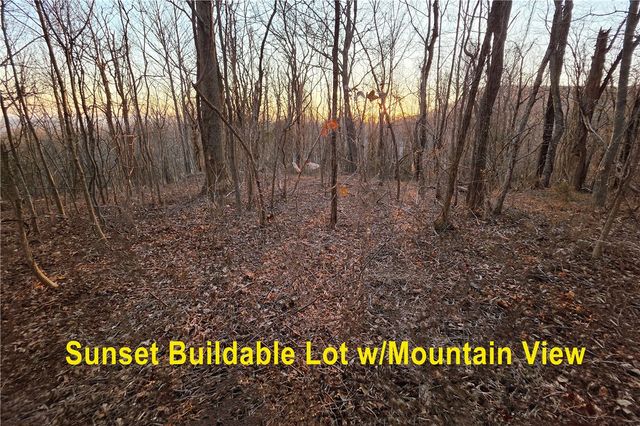 39 Raptor Way Way, Landrum, SC 29356