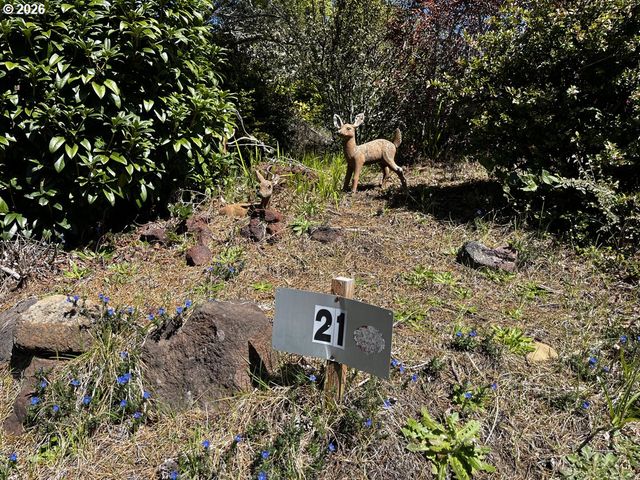 1600 RHODODENDRON Dr 21, Florence, OR 97439