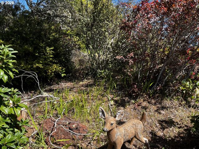 1600 RHODODENDRON Dr 21, Florence, OR 97439