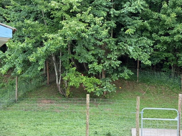 504 Romans Road, London, KY 40741