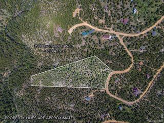398 Overland Drive, Ward, CO 80481