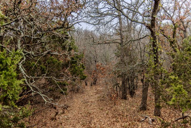 2946 FM 52, Graford, TX 76449