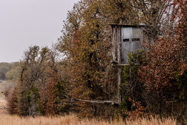 2946 FM 52, Graford, TX 76449