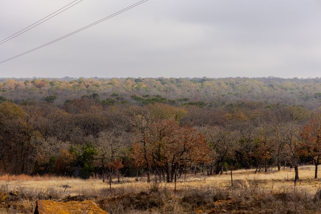 2946 FM 52, Graford, TX 76449