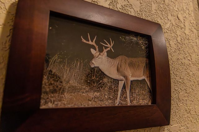 2946 FM 52, Graford, TX 76449