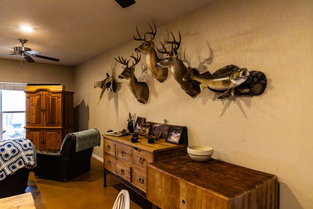 2946 FM 52, Graford, TX 76449