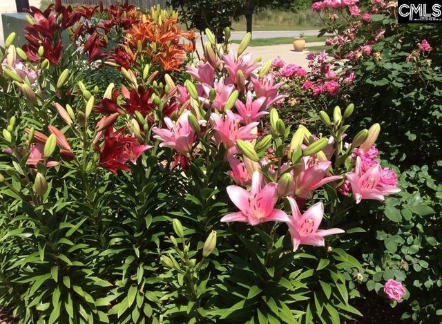 100 Pennbrook Lane, Irmo, SC 29063