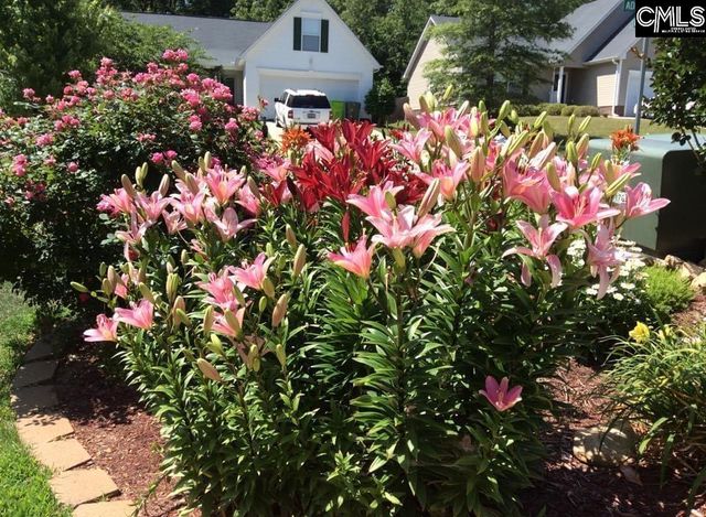 100 Pennbrook Lane, Irmo, SC 29063