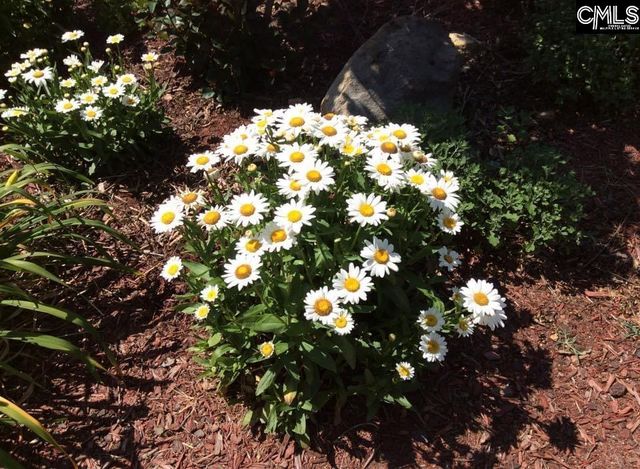 100 Pennbrook Lane, Irmo, SC 29063