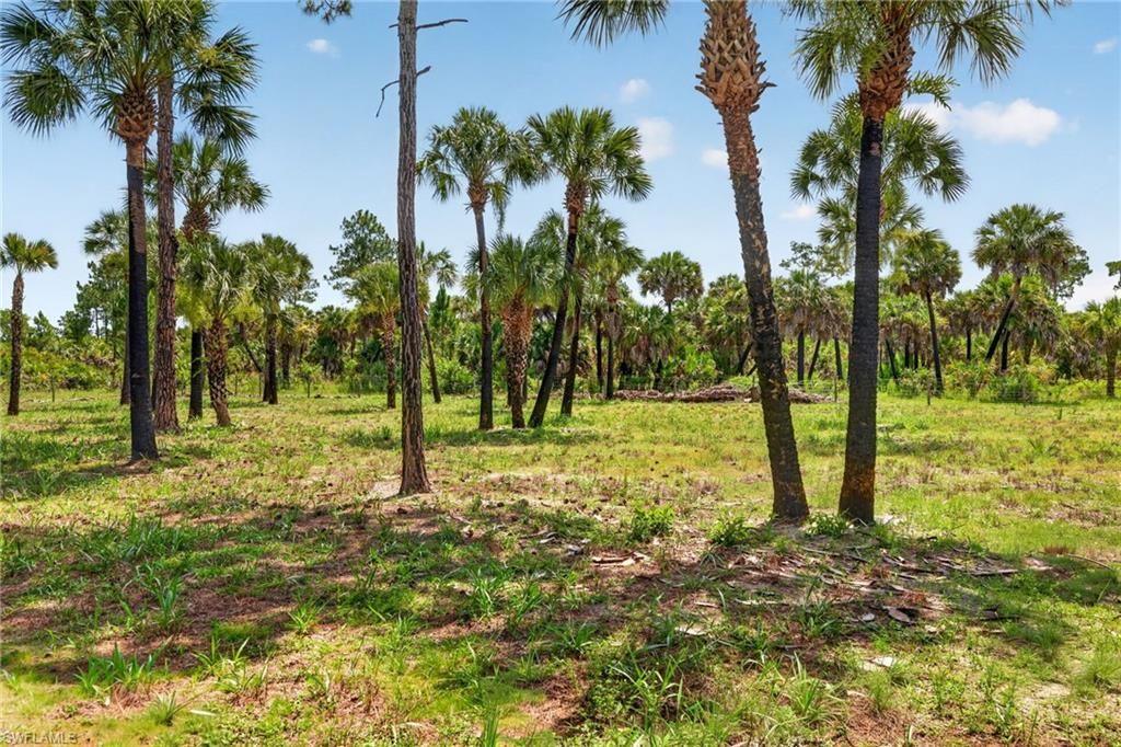 XXX Ivy Way, NAPLES, FL 34117 — photo 4