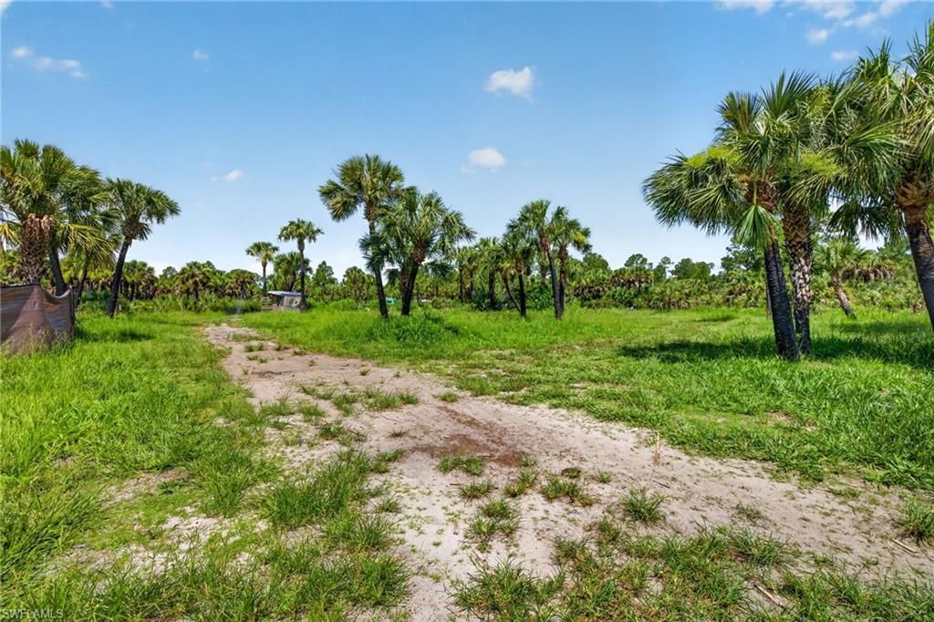 XXX Ivy Way, NAPLES, FL 34117 — photo 5