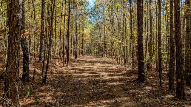 0 Jones Ferry Road, Chattahoochee Hills, GA 30268
