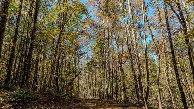 0 Jones Ferry Road, Chattahoochee Hills, GA 30268