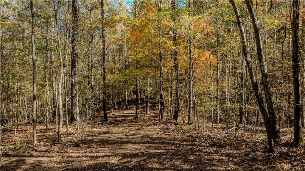 0 Jones Ferry Road, Chattahoochee Hills, GA 30268