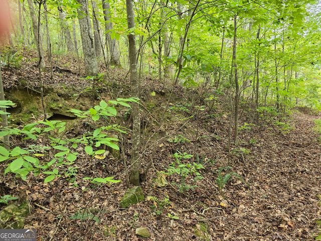 5965 Hickory Bend Drive, Douglasville, GA 30135