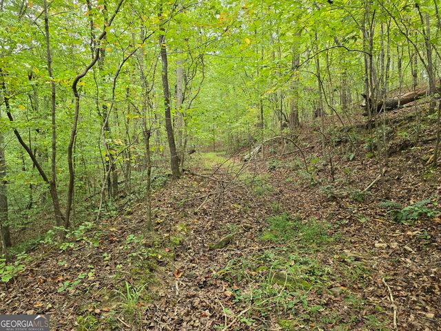 5965 Hickory Bend Drive, Douglasville, GA 30135