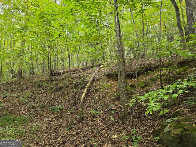 5965 Hickory Bend Drive, Douglasville, GA 30135