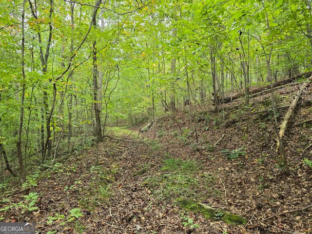 5965 Hickory Bend Drive, Douglasville, GA 30135