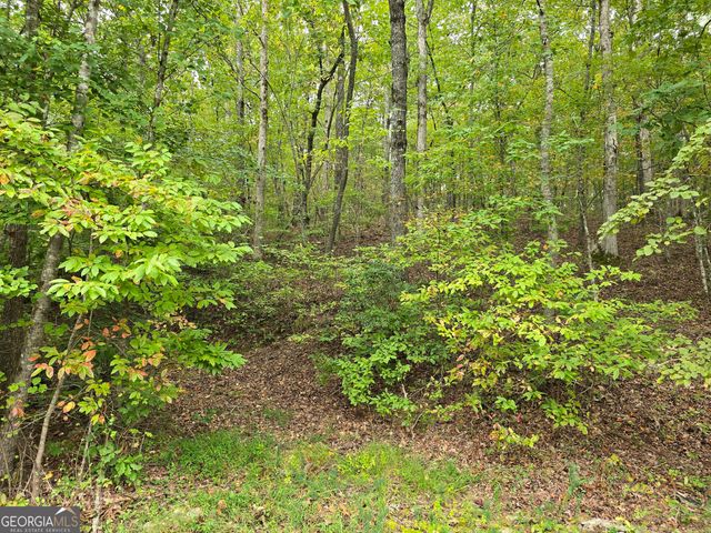 5965 Hickory Bend Drive, Douglasville, GA 30135