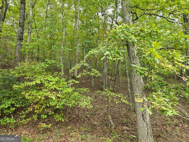 5965 Hickory Bend Drive, Douglasville, GA 30135