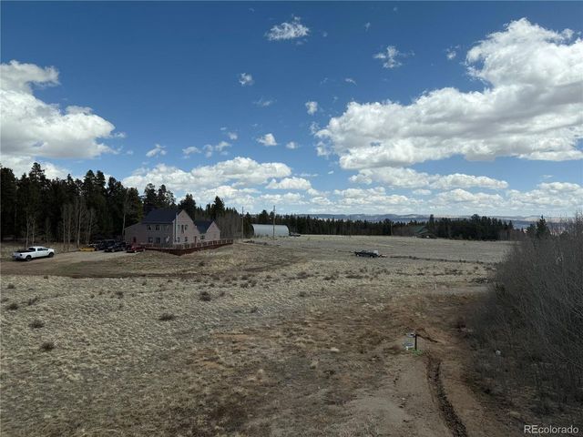 237 Foxtail Ct, Fairplay, CO 80440