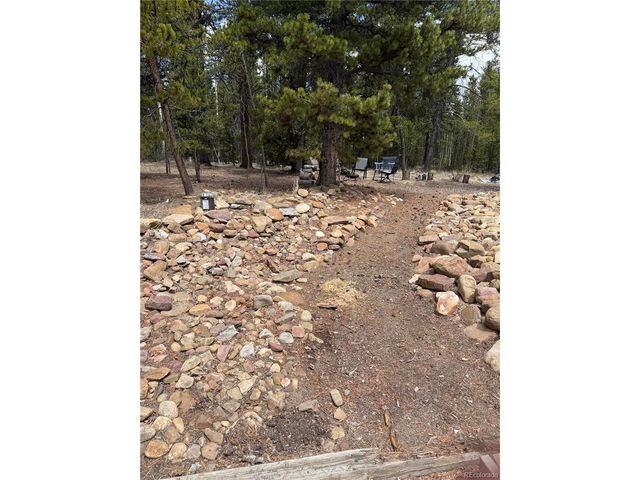 237 Foxtail Ct, Fairplay, CO 80440