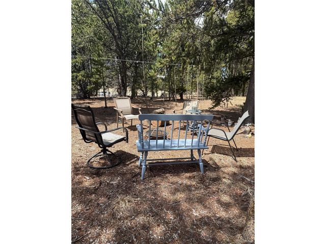 237 Foxtail Ct, Fairplay, CO 80440