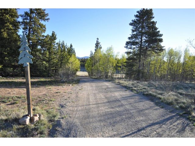 237 Foxtail Ct, Fairplay, CO 80440