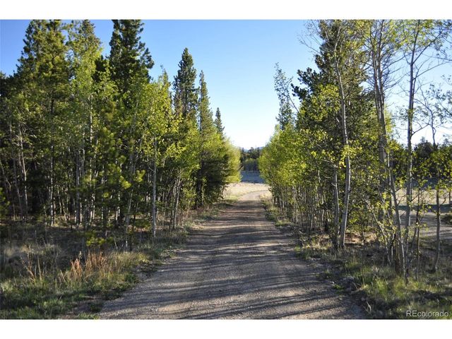 237 Foxtail Ct, Fairplay, CO 80440