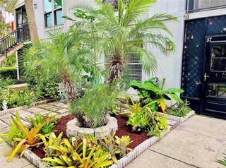 3595 WHISPERING OAKS LANE 57, Palm Harbor, FL 34684