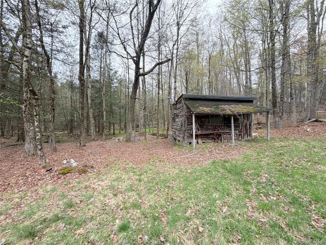 Muthig Road, Fallsburg, NY 12733