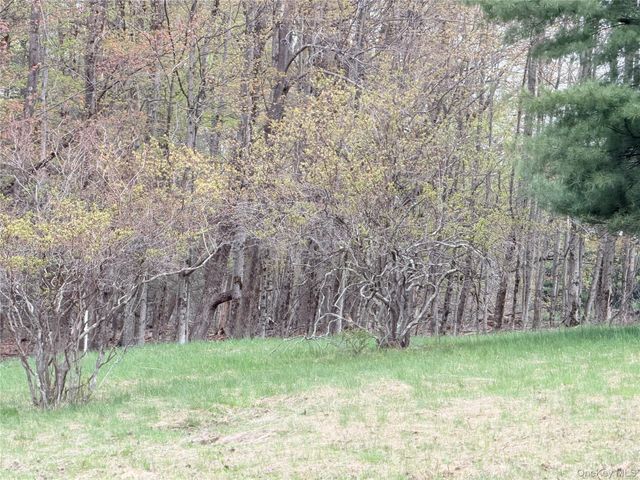 Muthig Road, Fallsburg, NY 12733