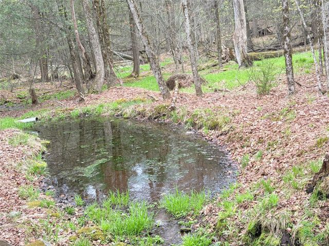 Muthig Road, Fallsburg, NY 12733
