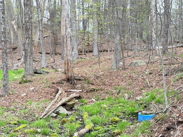 Muthig Road, Fallsburg, NY 12733