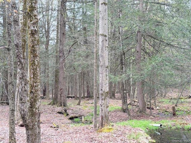 Muthig Road, Fallsburg, NY 12733