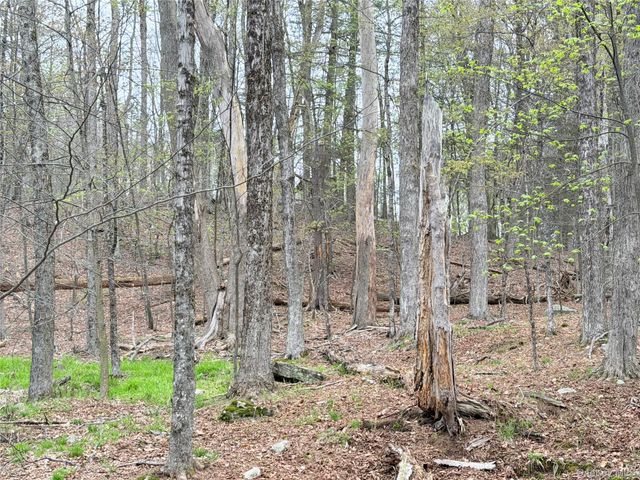 Muthig Road, Fallsburg, NY 12733