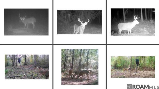 8490 La Hwy 449, Greensburg, LA 70441