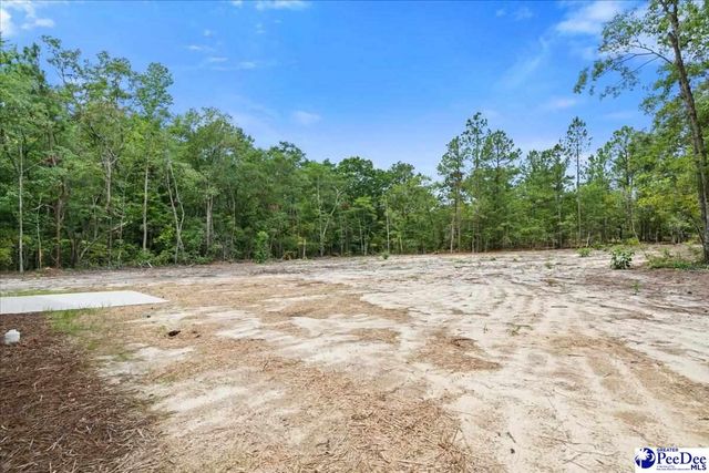 1139 Peach Orchard Rd, Jefferson, SC 29718