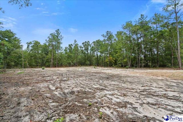 1139 Peach Orchard Rd, Jefferson, SC 29718