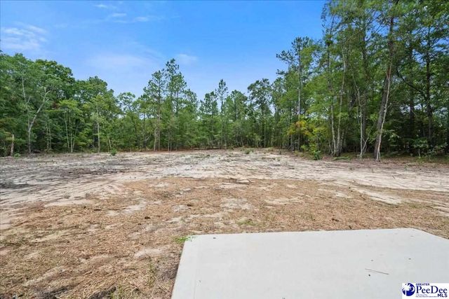 1139 Peach Orchard Rd, Jefferson, SC 29718