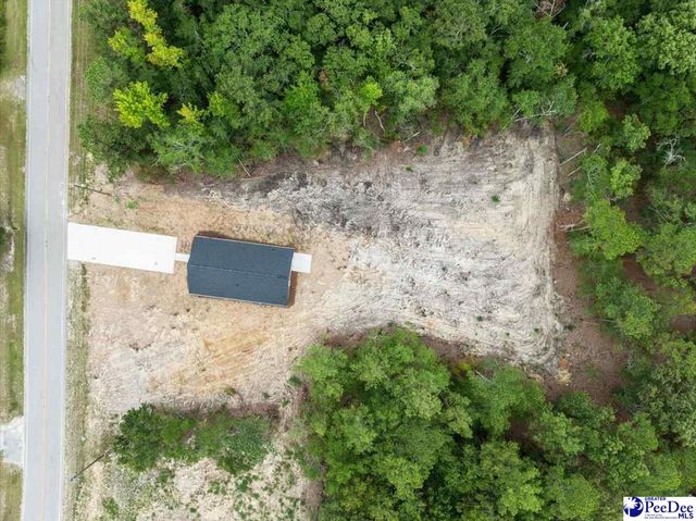 1139 Peach Orchard Rd, Jefferson, SC 29718