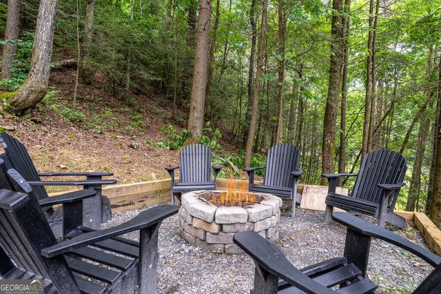 861 Little Rock Creek Road, Cherry Log, GA 30522
