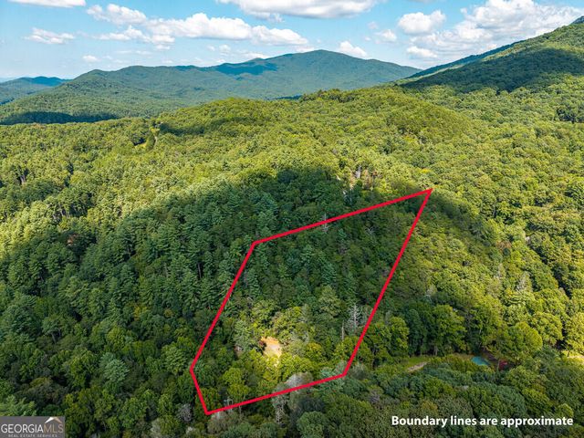 861 Little Rock Creek Road, Cherry Log, GA 30522