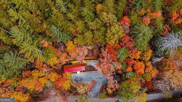 861 Little Rock Creek Road, Cherry Log, GA 30522